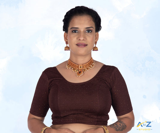 Coffee Crush Fabric Tissue Stone Work Blouse