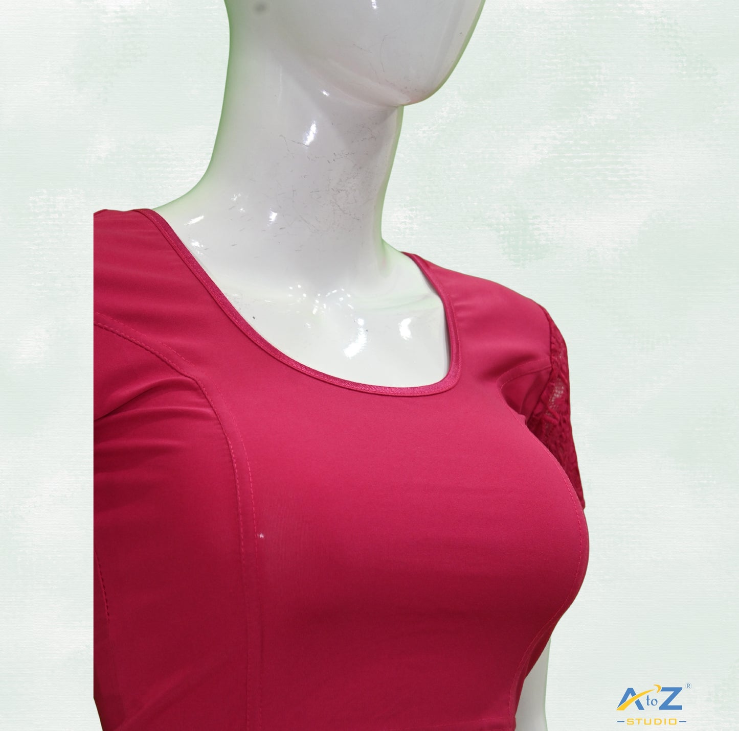 Rani  Polyester Lycra Net Short Sleeves