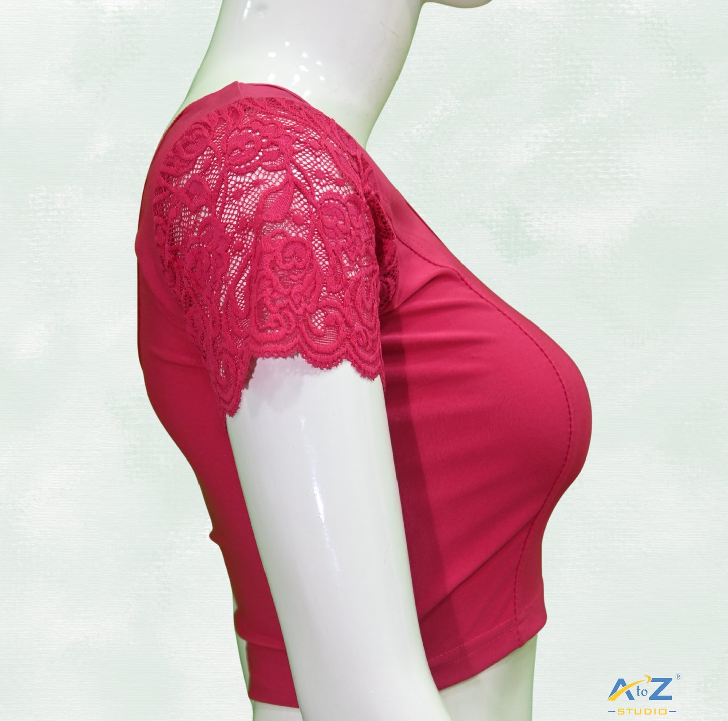 Rani  Polyester Lycra Net Short Sleeves