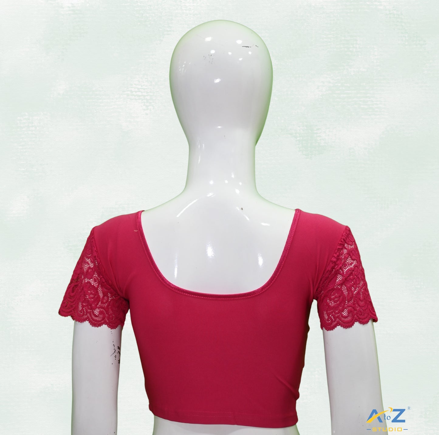 Rani  Polyester Lycra Net Short Sleeves