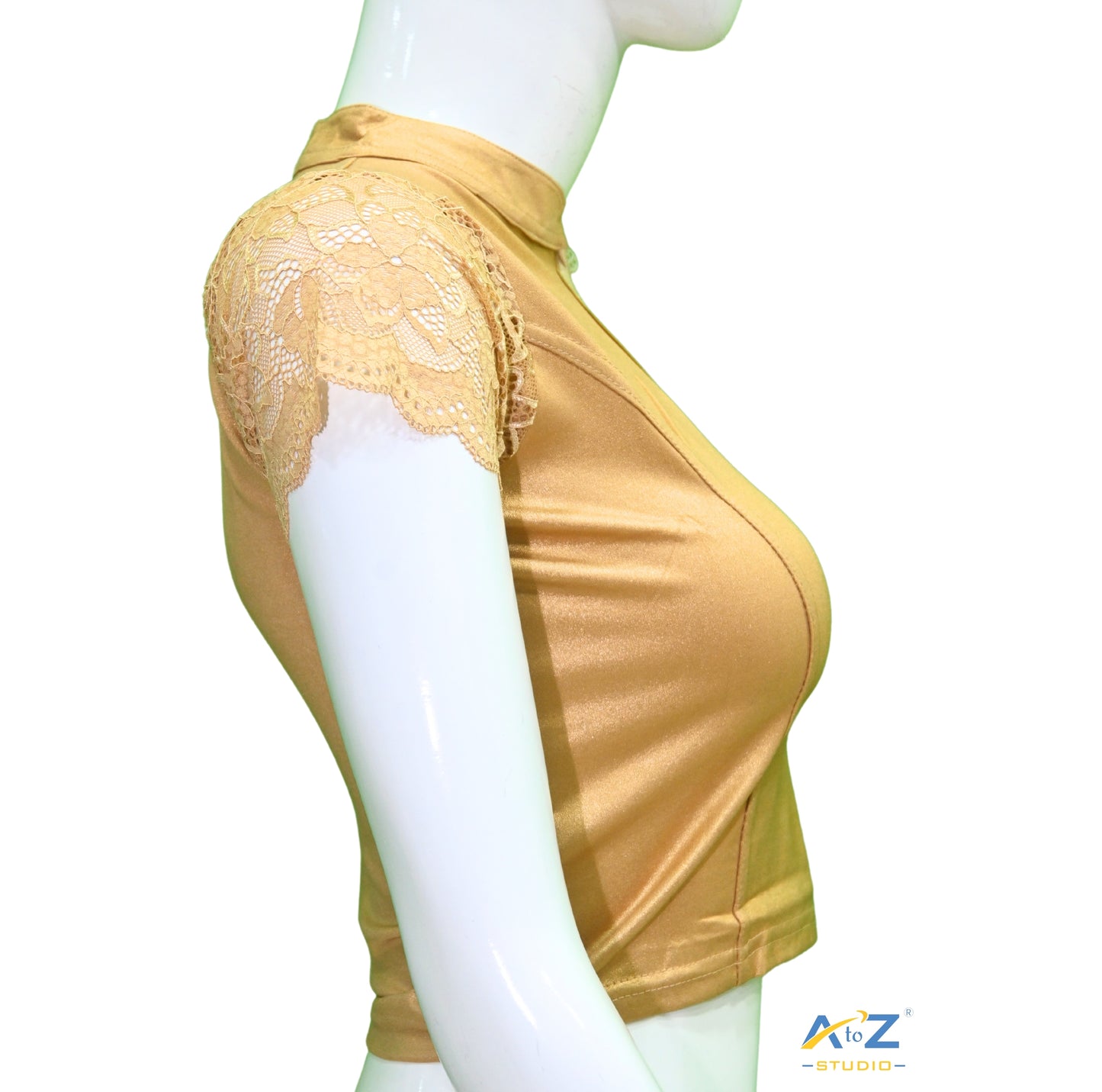 Gold Lycra Shimmer Net Short Sleeves