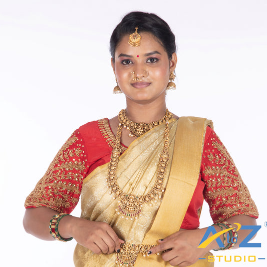 Light Red Tissue / Gold Work Blouse with Small leaf (like flower pot) and chain work Design