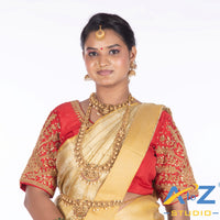 Light Red Tissue / Gold Work Blouse with Small leaf (like flower pot) and chain work Design